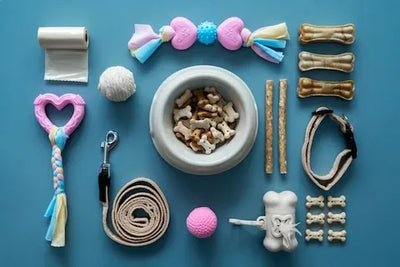 Pet Supplies